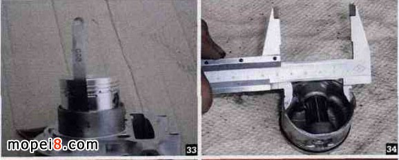 Θ(bio)ߜyȹֹڃ(ni)