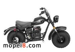 Ї(gu)a(chn)Baja MotorsportsMB200Ħ܇(ch)