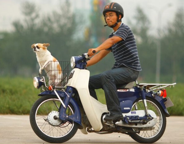 本田HONDA超級(jí)幼狐Super CUB50