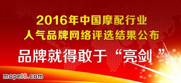 2016中國摩托車配件行業(yè)人氣品牌公布