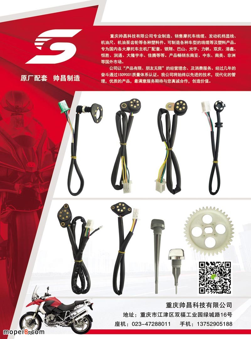 中國摩托車配件-發(fā)動(dòng)機(jī)檔顯線束