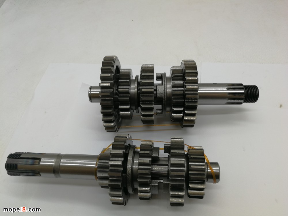 pTQM250GYnλX݆MGS250S