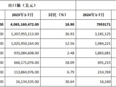 2024年前七月：中國(guó)摩托車出口漲勢(shì)穩(wěn)定，拉丁美洲成最大增長(zhǎng)點(diǎn)